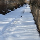 今日も良い天気