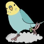 【動画】インコさん、ハムスターをぶん回してしまうｗｗｗｗｗｗｗｗｗ