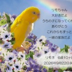 ペットセレモニーベル天国の天使達