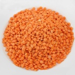 自転車と世界一周