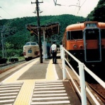 交野が原道草