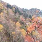 岐阜大学山岳部　掲示板