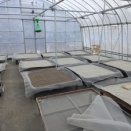 やっと今年、最後洗浄乾燥が終了(^^♪