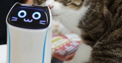 読ませぬ猫と配膳猫。