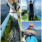 新安浦港・長谷川丸釣果