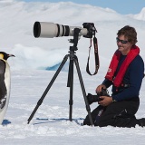 ペンギン「なんか撮影してるンゴｗｗｗｗｗｗ」