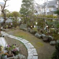 庭はロイター板 (今日はちょこっと怪しい話・・・)