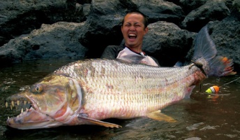 モンスターみたいな巨大魚・巨大生物の画像貼っていこうぜ!