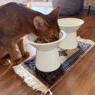 猫たちのフードボウルを新調した