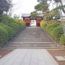 護国寺の階段と音羽富士／文京区大塚5