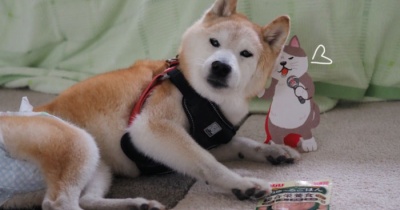 今日から18歳！…かな？