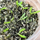 何がダメなんだ？