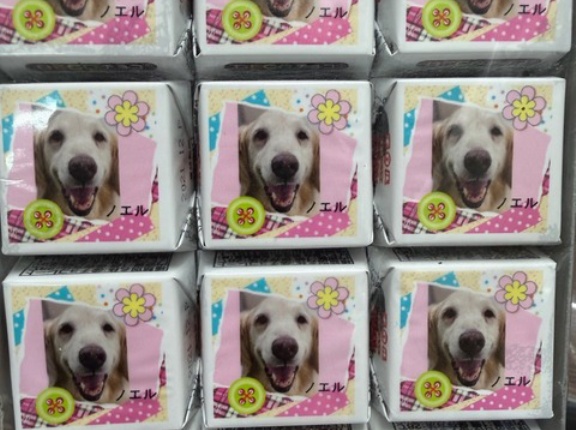 ノエルのチロルチョコを頂きました💖