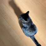 だいじろう日和。