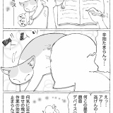 うちの犬のルカ。【１０８】