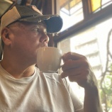 『ライオンの群れとひつじの群れ　vol.4184』の画像