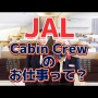日本のキャビンアテンダントなぜか女性ばかり「保安要員なのに男性がここまでいないのは異常」