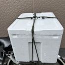 チャリンコ汽水ガサ旅〜シマイサキ編〜