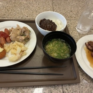 ダメ人間の人生