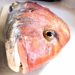 西野えみ のblog