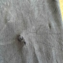 トレーナーの穴も塞ぐけど、、塞ぐだけです