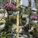 今日は暑いくらいでかえって作業が進まない