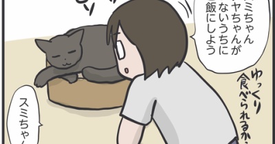 スミちゃんにこっそりごはんをあげようとしたら
