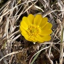 すっかり忘れました