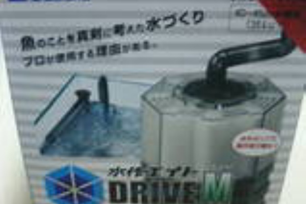熱帯魚のいる毎日１０日目 水作エイトドライブm おさかなと暮らす日常