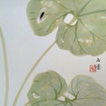 玉堂のまなざし： ふき｜川合玉堂　―なつかしい日本の情景―