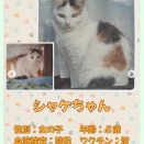 千葉県からのお願い！