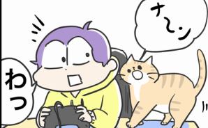 猫が急に甘えん坊になる理由