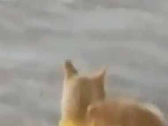 【大人気】 広場の地面には照明が並んでいた。あったかいのかな？ → トルコではこうなります…