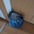 施設移転・収納を増やす片付け