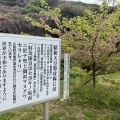 32日目　2025年４月5日（土）曇り