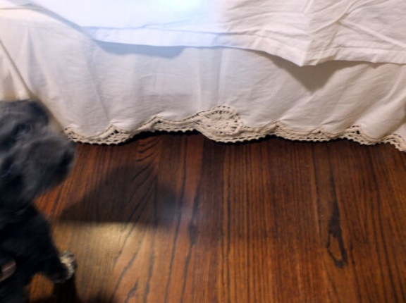 自分には持つ資格がない・・・