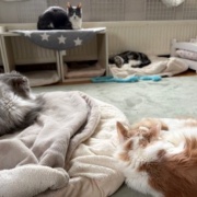 ネネちゃん、泣いてるの？何かあったの？