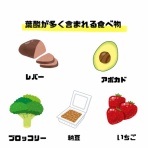培養室だより