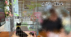 お見合いでした☆栄光
