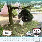 Golf外伝
