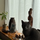 そんなんでいいの～？