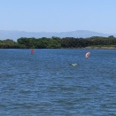 2026.4.21 馬飼 ウイング 4.5ジャスト