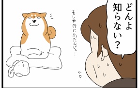 イリュージョンのようにどこからでも現れる猫