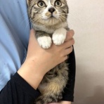 袋井動物病院日記