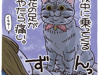 やるなら、確実にやる花。