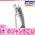 【JAPON】【こどもの日Jour des enfants】【端午の節句Tango no Sekku】【鯉のぼりKoi nobori】2026年5月5日