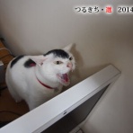 裏つるきち