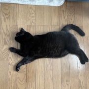 まだまだ若々しいスミちゃん
