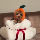 良い年のはじまり！