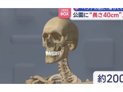 【悲報】日本の治安、ここまでヤバくなる・・・・・
